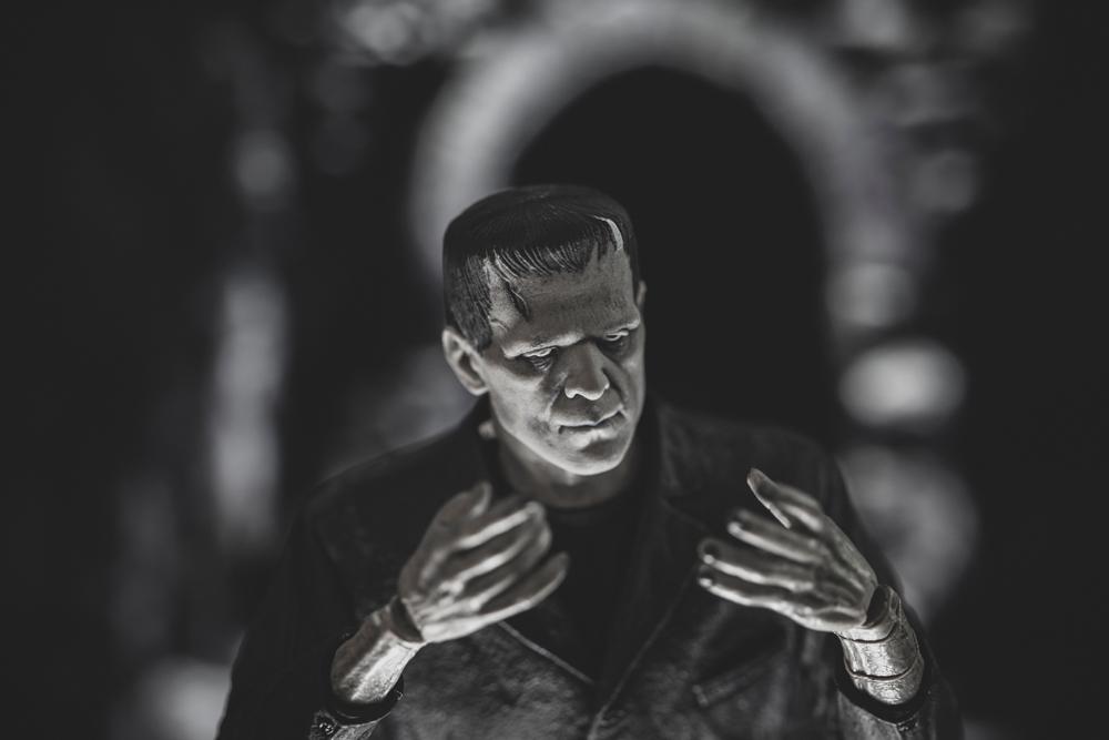 The Frankenstein Monster